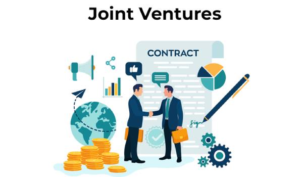 Joint Ventures